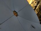 Dish Antenna