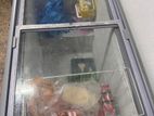 Display Deep Freezer