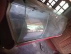 Display Freezer