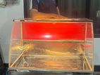 Display Freezer