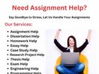 Dissertation with Report Support