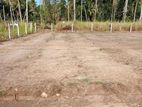 Diulapitiya Ullalapola Valuable Land Plots