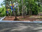 දිවිලපිටිය නගරයට සමීපව බිම් කොටස්