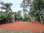 Divulapitiya 19.5 Perches Land for Sale (SSPL-442)