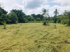 Divulapitiya Badalgama Land With House for Sale