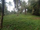 Divulapitiya Ballapana neglected coconut pineapple land house for sale