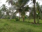 Divulapitiya Dunagaha Land for Sale Facing Wide Road