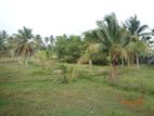 Divulapitiya Gampaha District, Land for Sale with Wide Roads