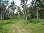 Divulapitiya, Negombo Road Facing Land for Sale