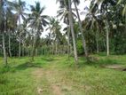 Divulapitiya Veyangoda land facing paddy field for urgent sale