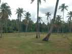 දිවුලපිටිය Land for Sale