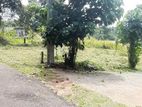 දිවුලපිටිය මීරිගම මාර්ගයට 100m Lands