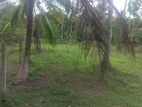 දිවුලපිටිය පෙදෙසින් වටිනා ඉඩමක් විකිණීම සඳහා