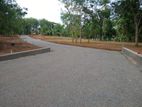 දිවුලපිටිය වල්පිට Land for Sale