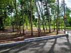 දිවුලපිටිය - වල්පිට නේවාසික බිම්කොටස්
