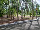 දිවුලපිටිය වල්පිට සුපිරි" තැනක් පර් 290000/= සිට පහසු ගෙවීම්ක්රම