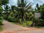 දිවුලපිටියෙන්, අඩි 20 මාර්ග පහසුකම් සහිත නේවාසික ඉඩමක් විකිණීමට