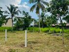 🏡✨ දිවුලපිටියෙන් ඔබේ සිහින නිවසට සුදුසුම බිම් කොටස / AJ 13707