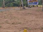 දිවූලපිටිය , ගම්පහ -211බස් පාර දිවුලපිටිය Land for Sale