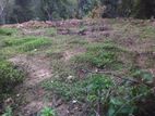 Diyatalawa – 20 Perches Scenic Land for Sale (Borlanda Road)
