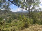 Diyatalawa Land for Sale