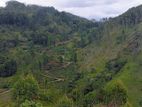 Diyatalawa Land for Sale