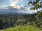 Diyatalawa Sinnakara Land for Sale