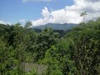 දියතලාවෙන් අගනා ඉඩමක් විකිණීමට