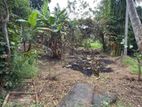 (DL1180) 20 Perch Land for Sale in Mawanella