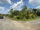 (DL1210) 10.5 Perch Land for Sale in Horana