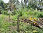 (DL1216) 40 Perch Land for Sale in Polgasowita, Palagama