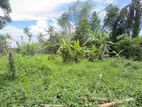 (DL1231) 20 Perch Land for Sale in Habarakada