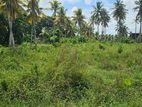 (DL1246) 80 Perch Land for Sale in Homagama
