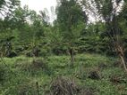 (DL1310) 5 Acre Land for Sale in Deraniyagala