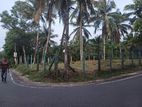 (DL1336) 61 Perch Land for Sale in Balummahara, Gampaha