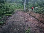 (DL1343) 10.20 Perches Land for Sale in Gonapola