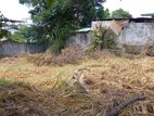 (DL1351) 10.91 Perches Land for Sale in Angoda
