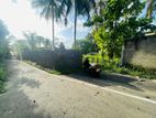 (DL168) Land for Sale in Habarakada