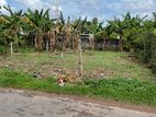 (DL246) Land for Sale in Pannipitiya