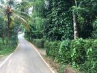 (DL257) 34 Perch Land for Sale in Colombo Road, Pilimathalawa