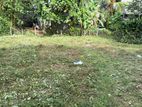 (DL262) 10.25 Perch Bare Land for Sale in Angoda