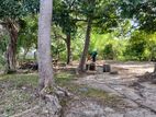 (DL352) 320 Perch Land for Sale in Polonnaruwa