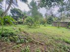 (DL398) 10 Perch Land for Sale in Panadura