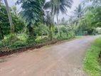 (DL398) 10 Perch Land for Sale in Panadura