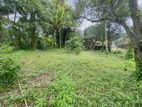 (DL398)Land for Sale in Panadura