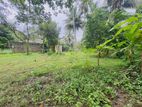 (DL399) 15 Perch Land for Sale in Panadura