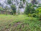 (dl400) 25 Perch Land for Sale in Panadura