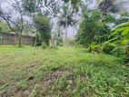 (DL400) 25 perch Land for Sale in Panadura
