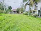 (DL454) 10 Perch Land for Sale in Panadura