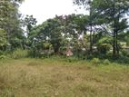 (DL566) Land for Sale in Panadura